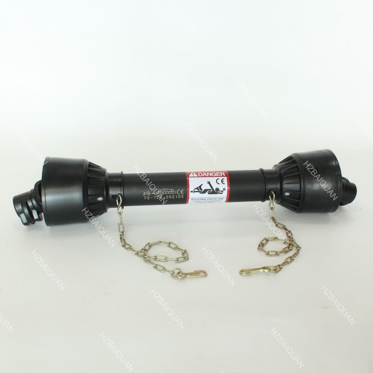 Main-01 (1)
